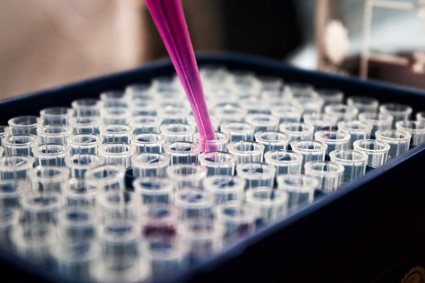 La importancia de la microbiología en la industria cosmética