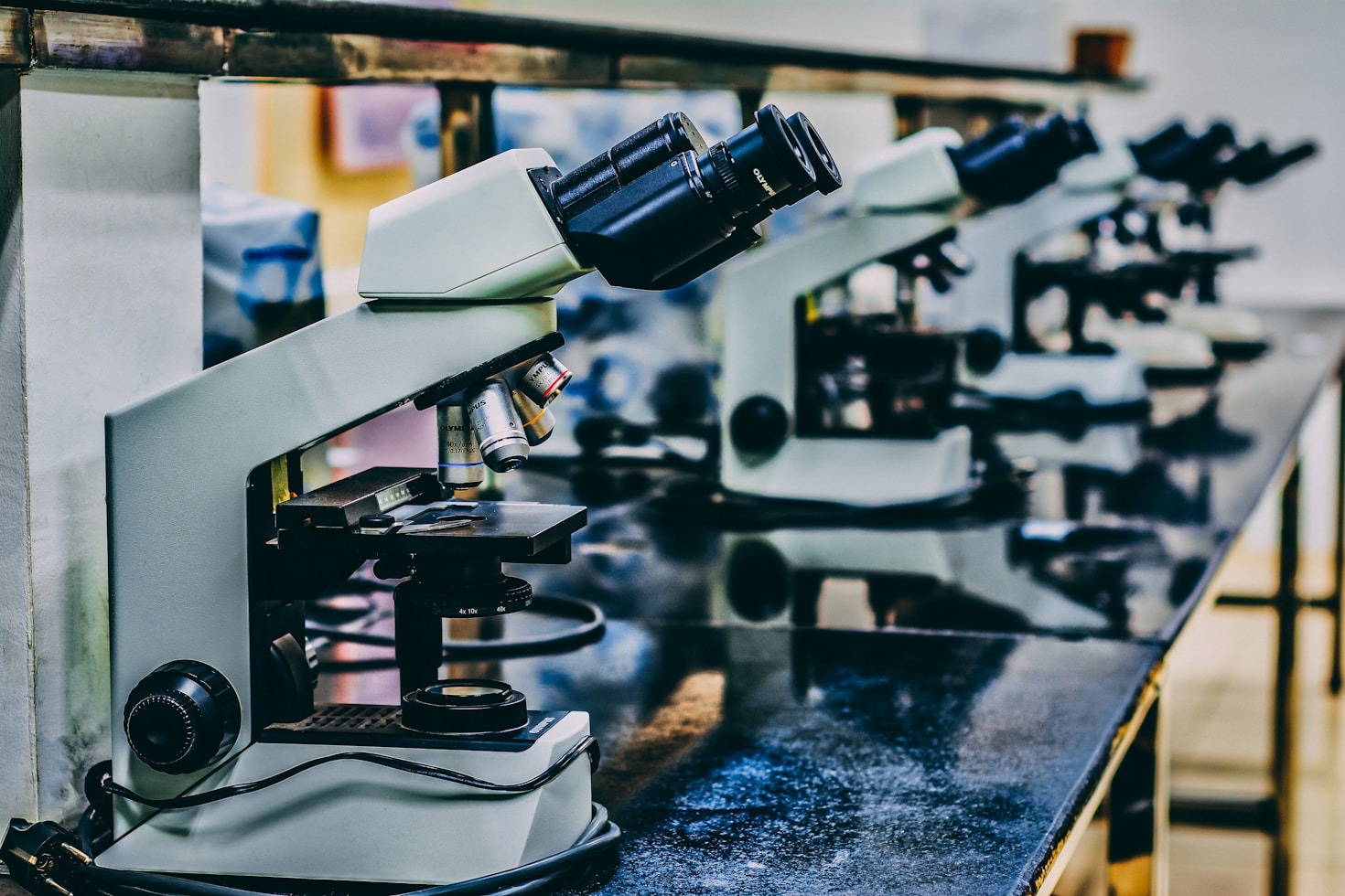 Educación científica para un futuro sostenible